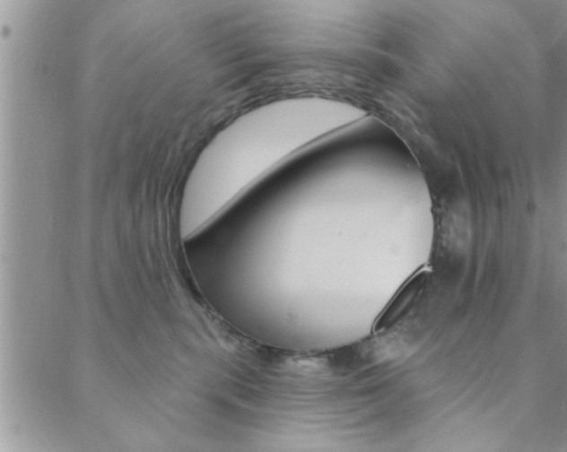 X0000088830283200706071133