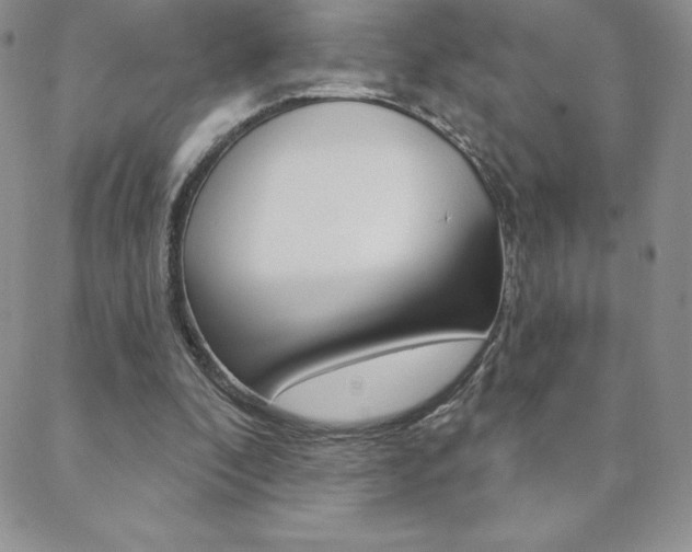 X0000088830296200706071132