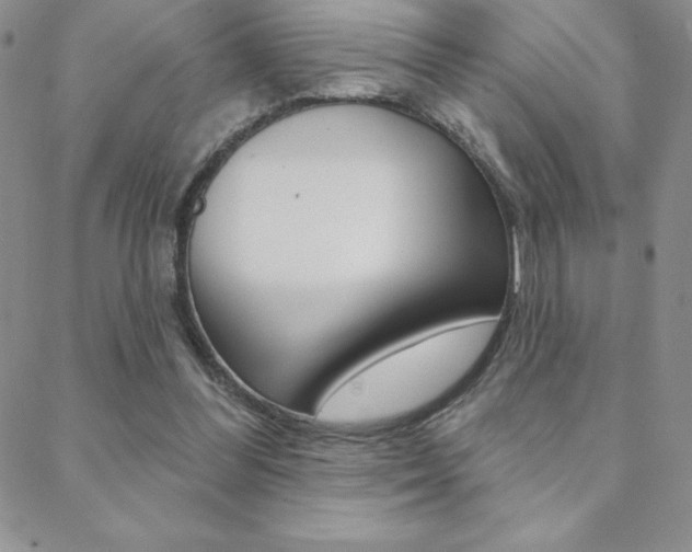 X0000088830300200706071132