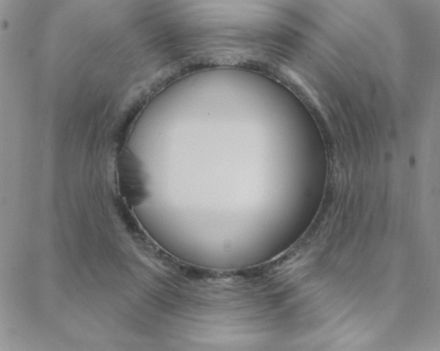 X0000088830307200706071132