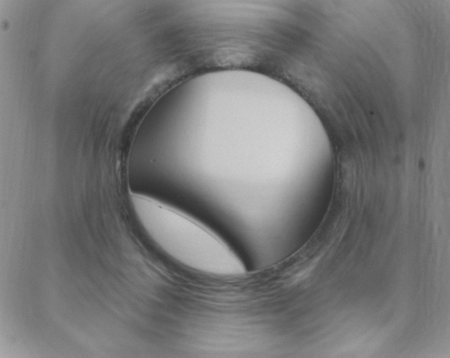 X0000088830308200706071132