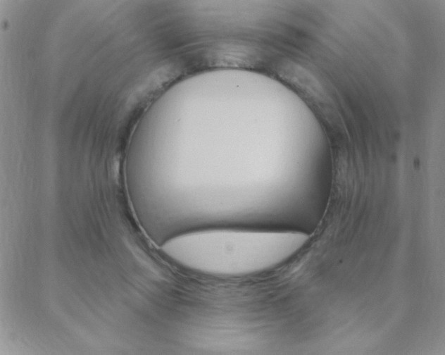 X0000088830310200706071132
