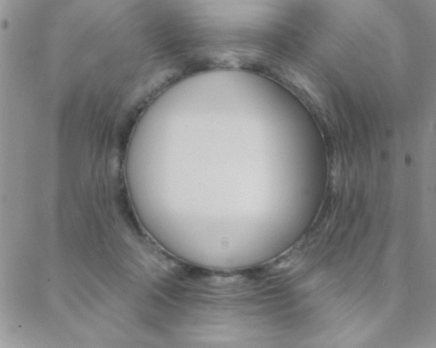 X0000088830314200706071132