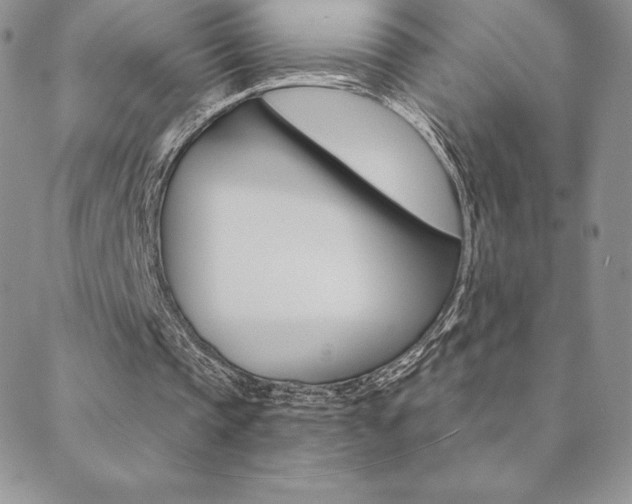 X0000088830337200706071131
