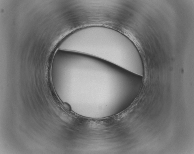 X0000088830346200706071131