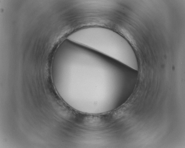 X0000088830354200706071131