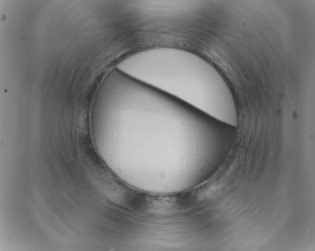 X0000088830359200706071131