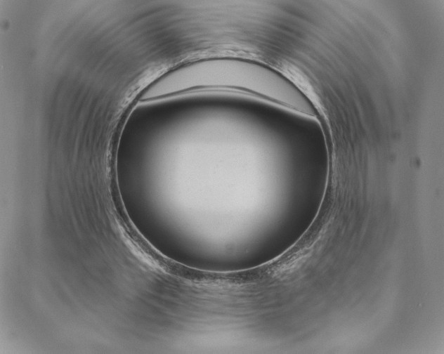 X0000088830389200706071131