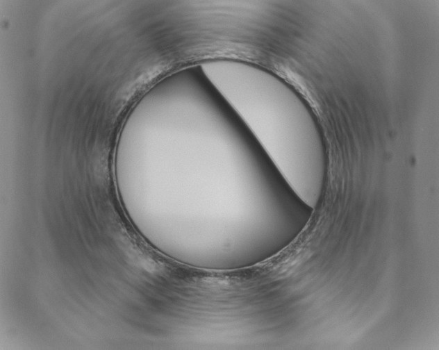 X0000088830394200706071131