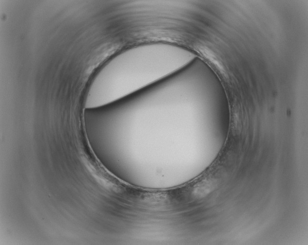 X0000088830398200706071131