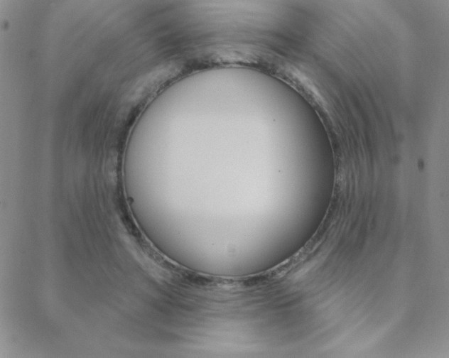 X0000088830402200706071131