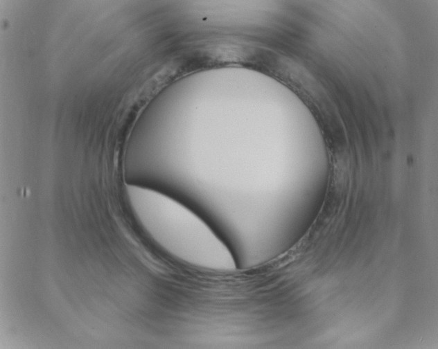 X0000088830406200706071130