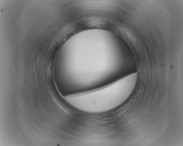X0000088830408200706071130