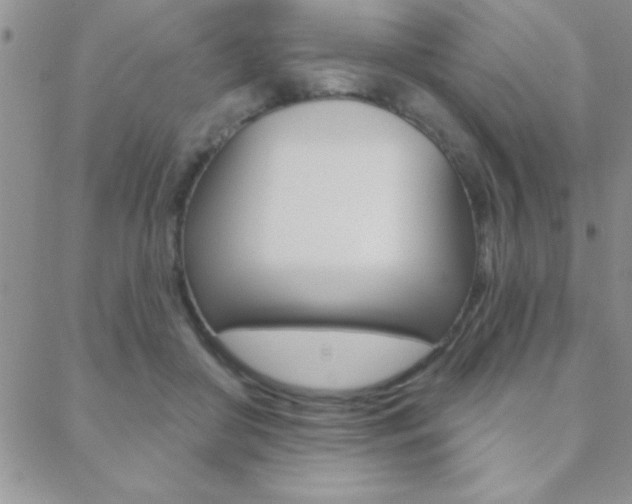 X0000088830410200706071130