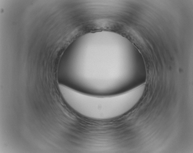 X0000088830413200706071130