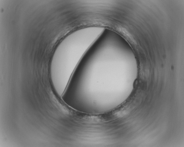 X0000088830449200706071130