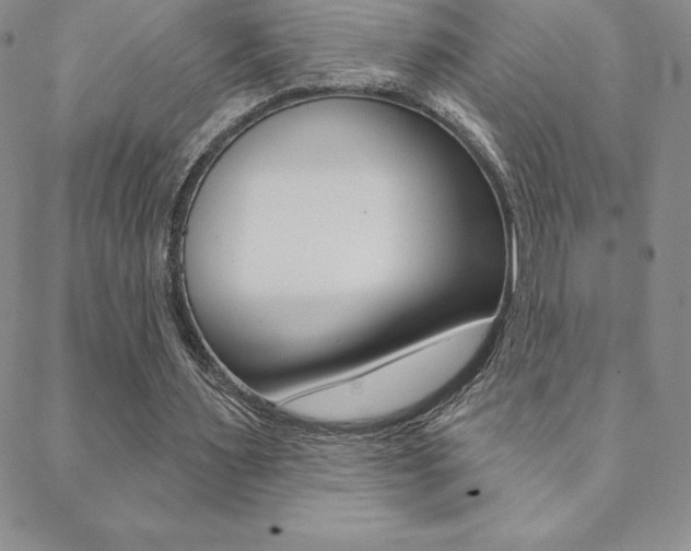 X0000088830483200706071129