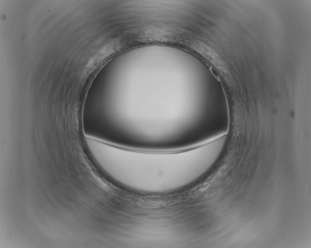 X0000088830489200706071129