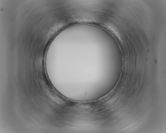 X0000088830491200706071129