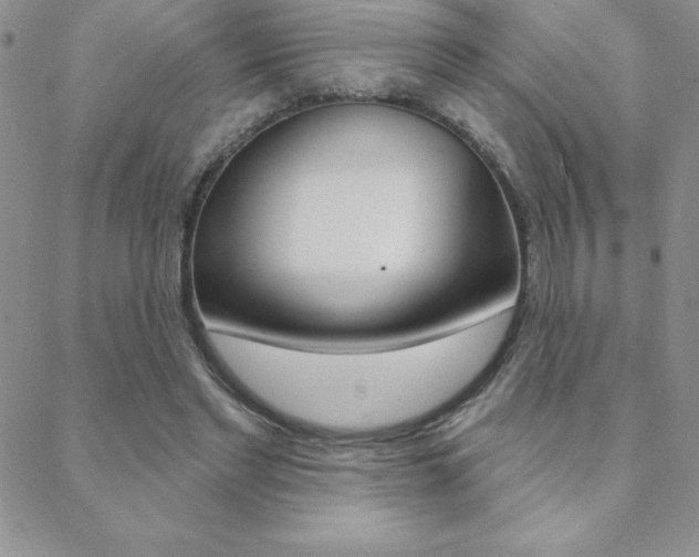 X0000088830493200706071129