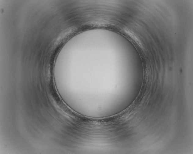 X0000088830494200706071129