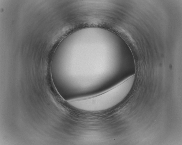 X0000088830496200706071129