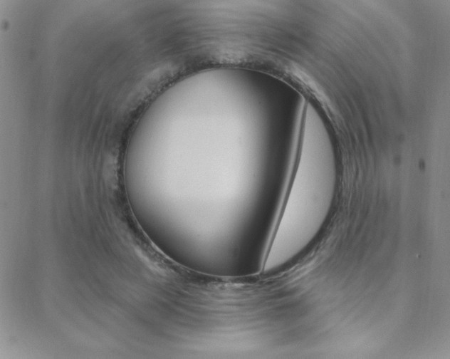X0000088830497200706071129