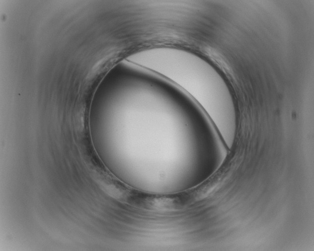 X0000088830501200706071129