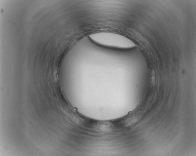 X0000088830514200706071129