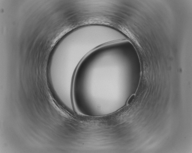 X0000088830530200706071128