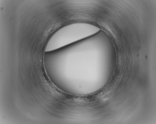 X0000088830545200706071128