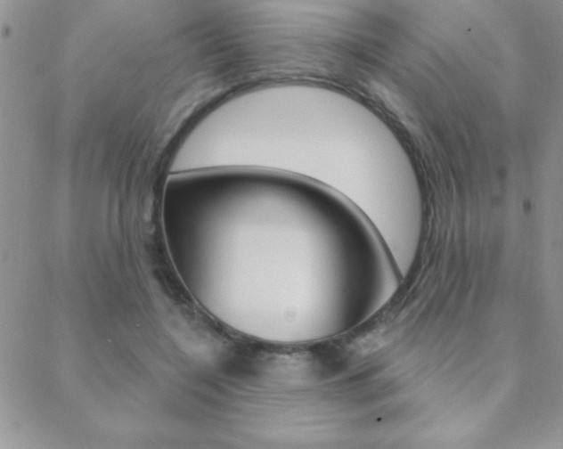 X0000088830548200706071128