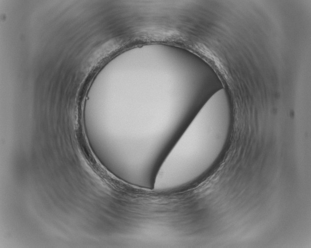 X0000088830582200706071128