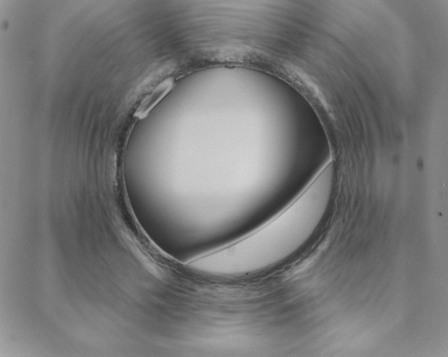 X0000088830589200706071128