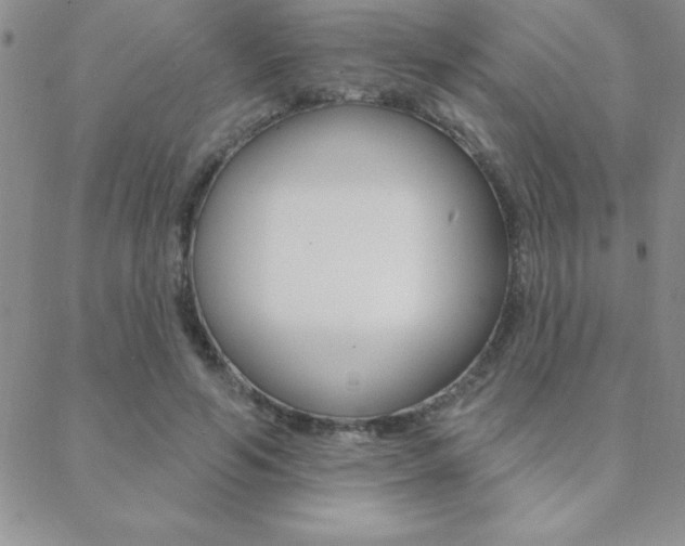 X0000088830594200706071127