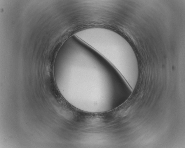 X0000088830643200706071126