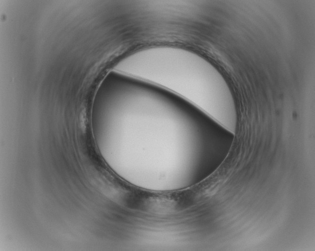 X0000088830644200706071126