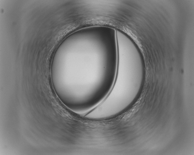 X0000088830673200706071126