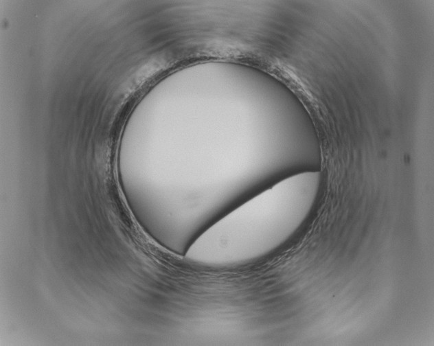 X0000088830679200706071126