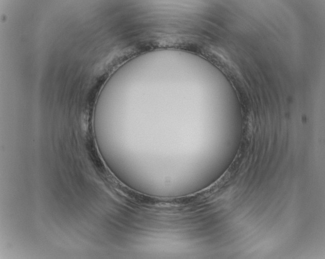 X0000088830691200706071126