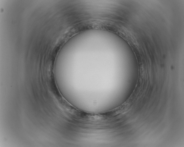 X0000088830698200706071126