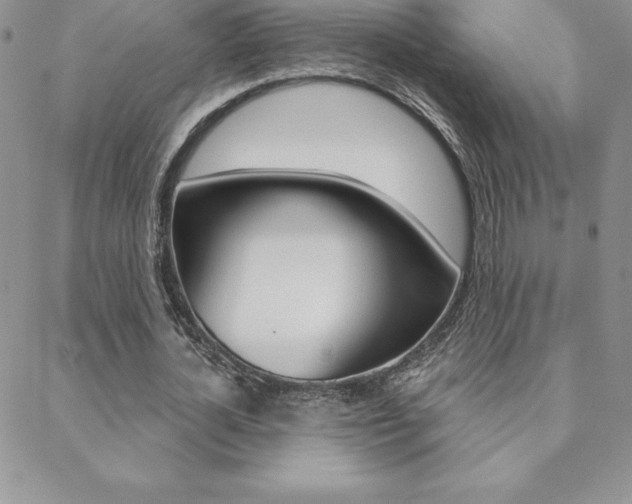 X0000088830724200706071125