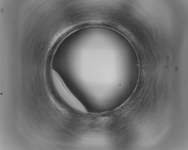 X0000088830728200706071125