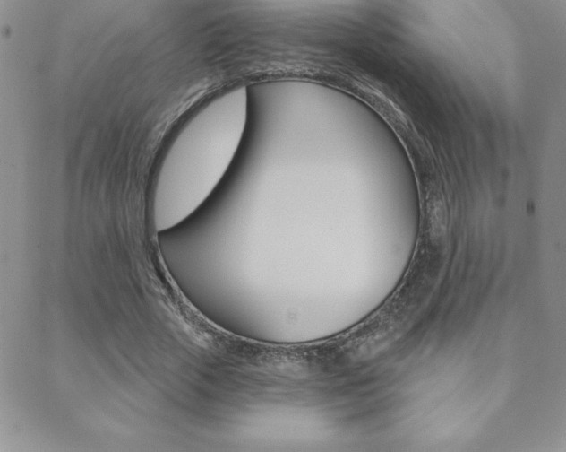 X0000088830729200706071125