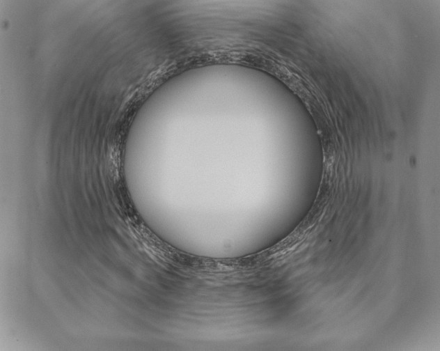 X0000088830772200706071125