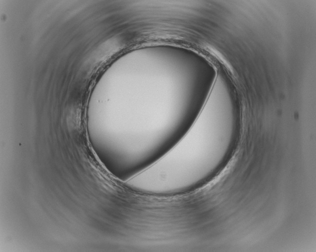 X0000088830777200706071124