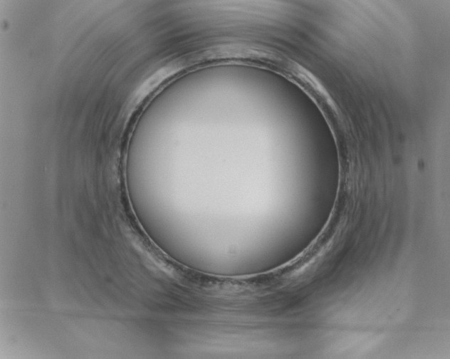X0000088830786200706071124