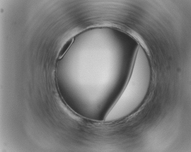 X0000088830805200706071124