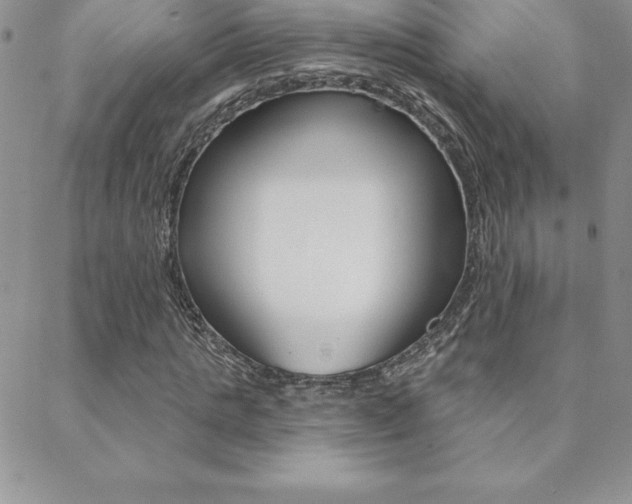 X0000088830821200706071123