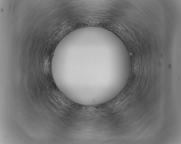 X0000088830866200706071123
